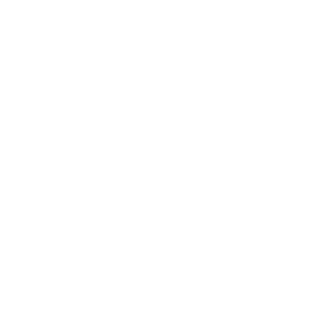 White Swarovski Logo