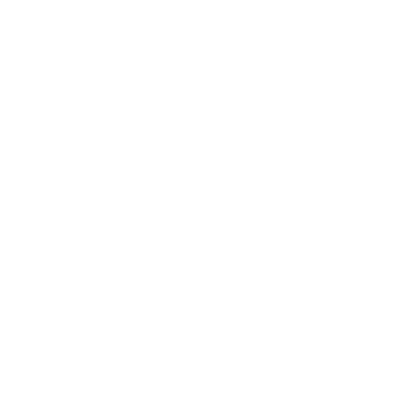 White Ritz-Carlton Logo